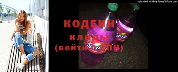 прущие грибы Няндома