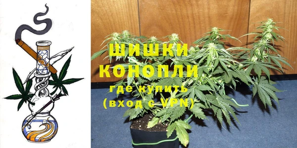 индика Нязепетровск