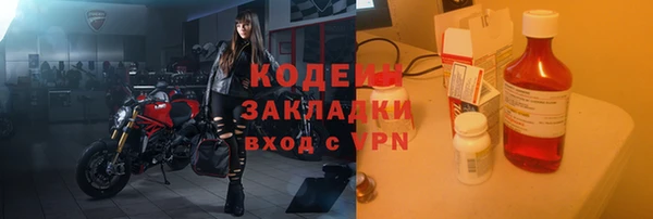 прущие грибы Няндома