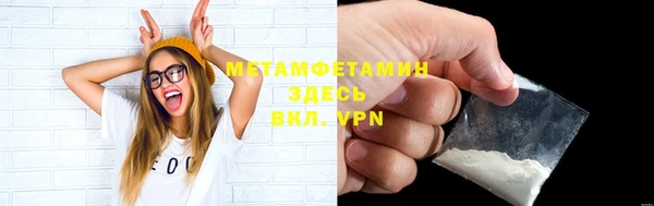 прущие грибы Няндома