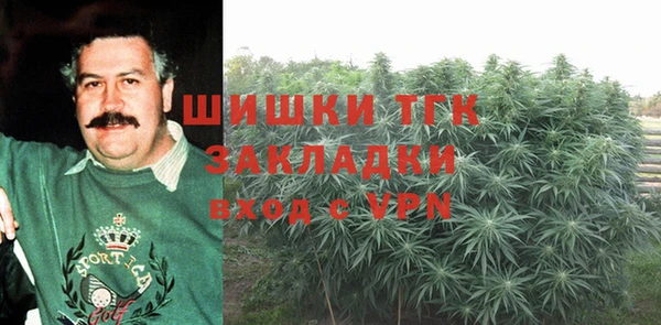 прущие грибы Няндома