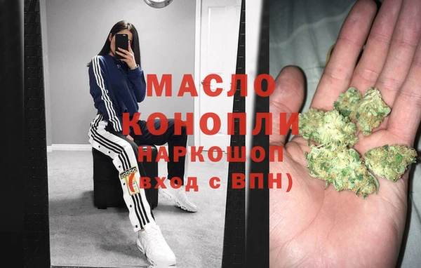 индика Нязепетровск