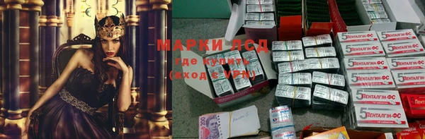 индика Нязепетровск