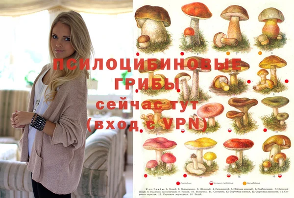 прущие грибы Няндома