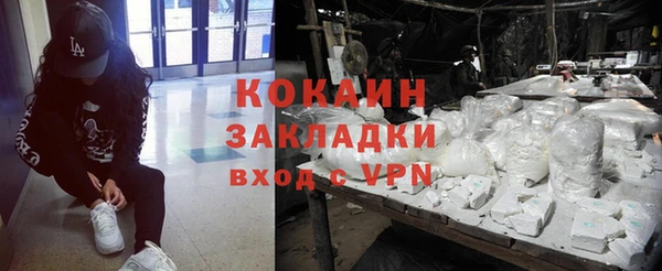 индика Нязепетровск