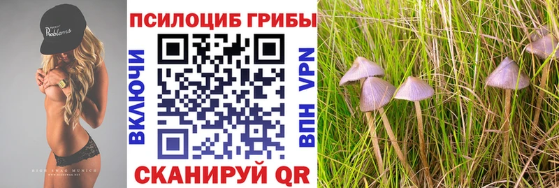 Псилоцибиновые грибы Magic Shrooms  Карпинск 