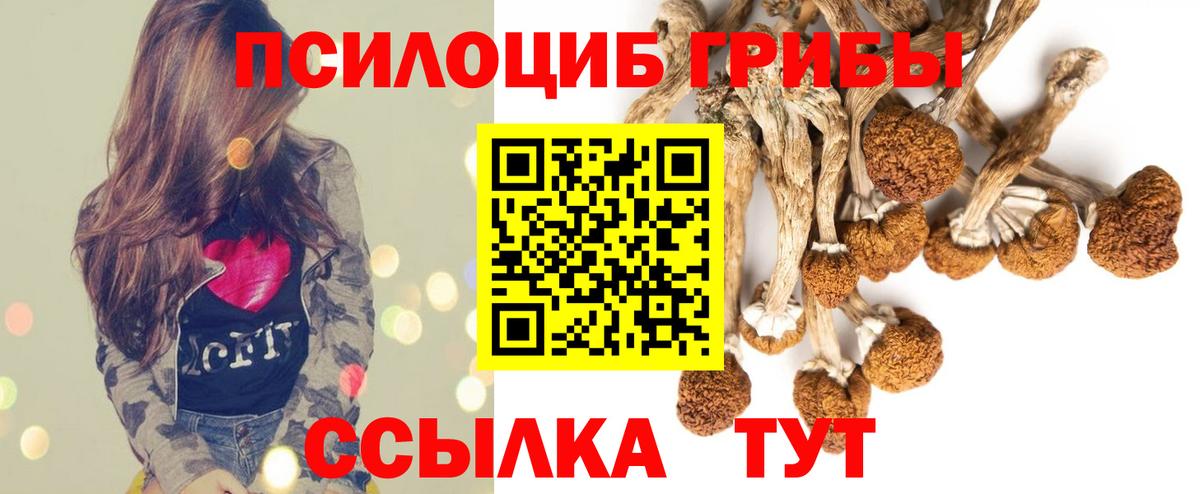 Псилоцибиновые грибы прущие грибы Карпинск