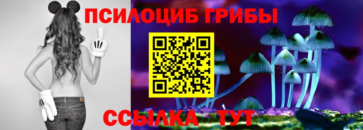 магазин продажи наркотиков  Карпинск  Псилоцибиновые грибы Psilocybe 